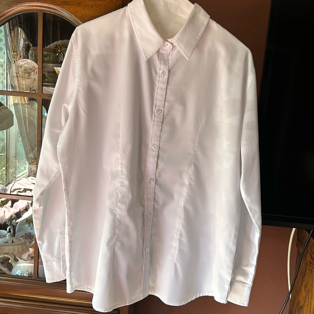 Lovely ladies tapered long sleeve blouse. No tags. Size XL. Great for work. EUC